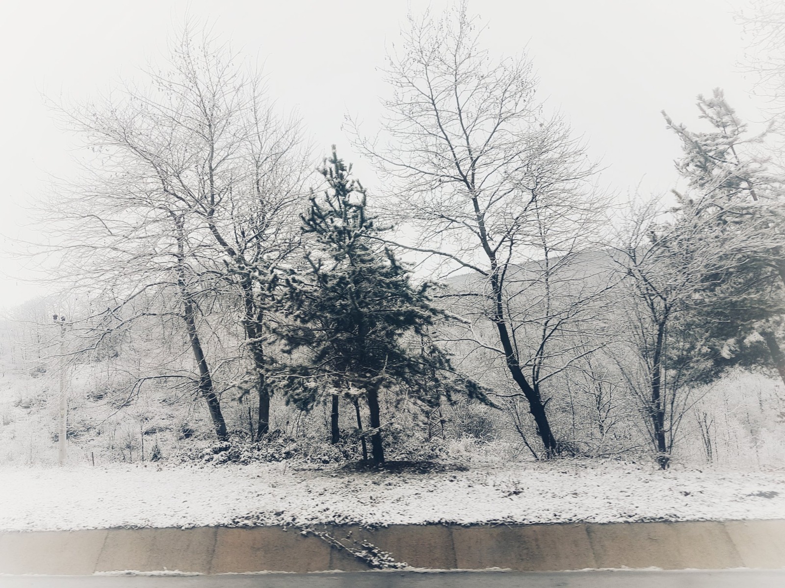 Samsun kar manzara fotoğrafları