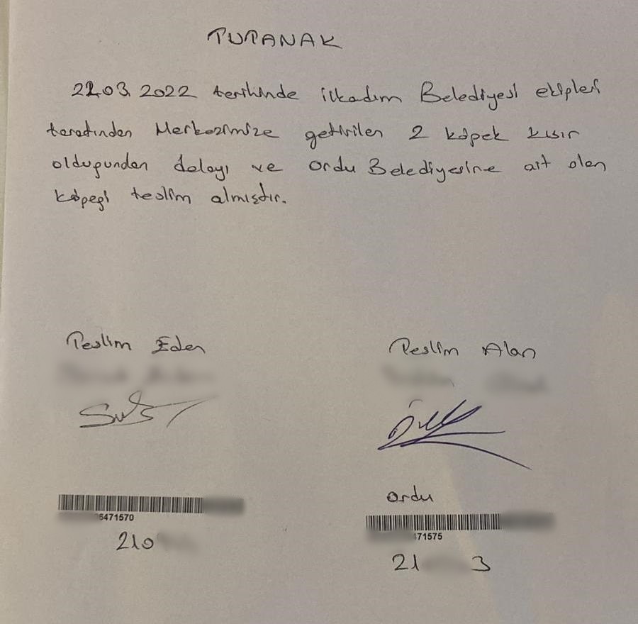 Çevre il ve ilçelerden bırakılan köpekler bir ilçenin en büyük sorunu oldu
