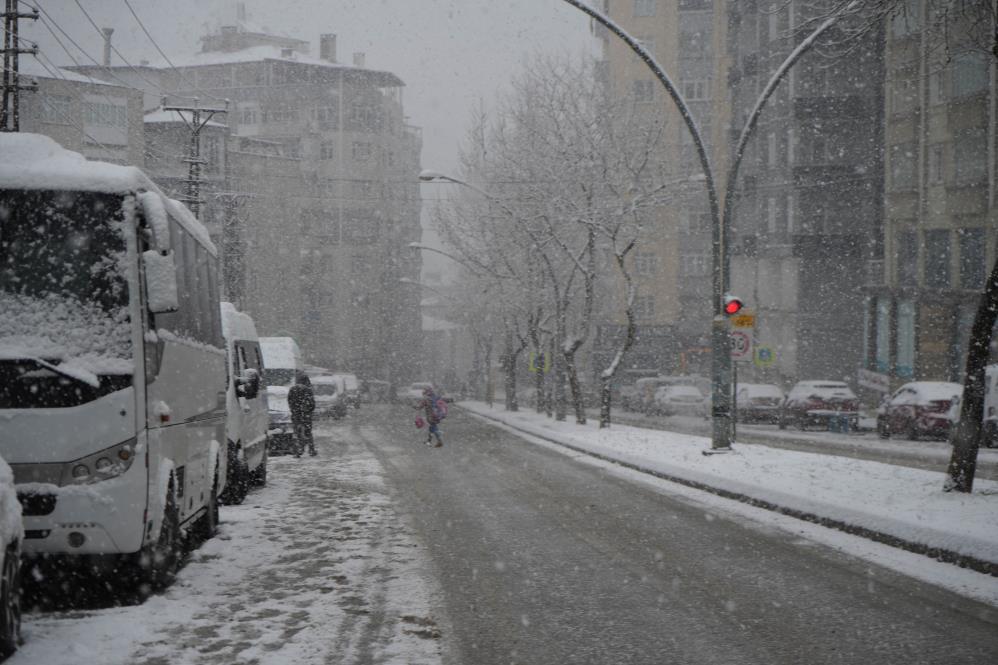 Samsun'da hayat dondu!