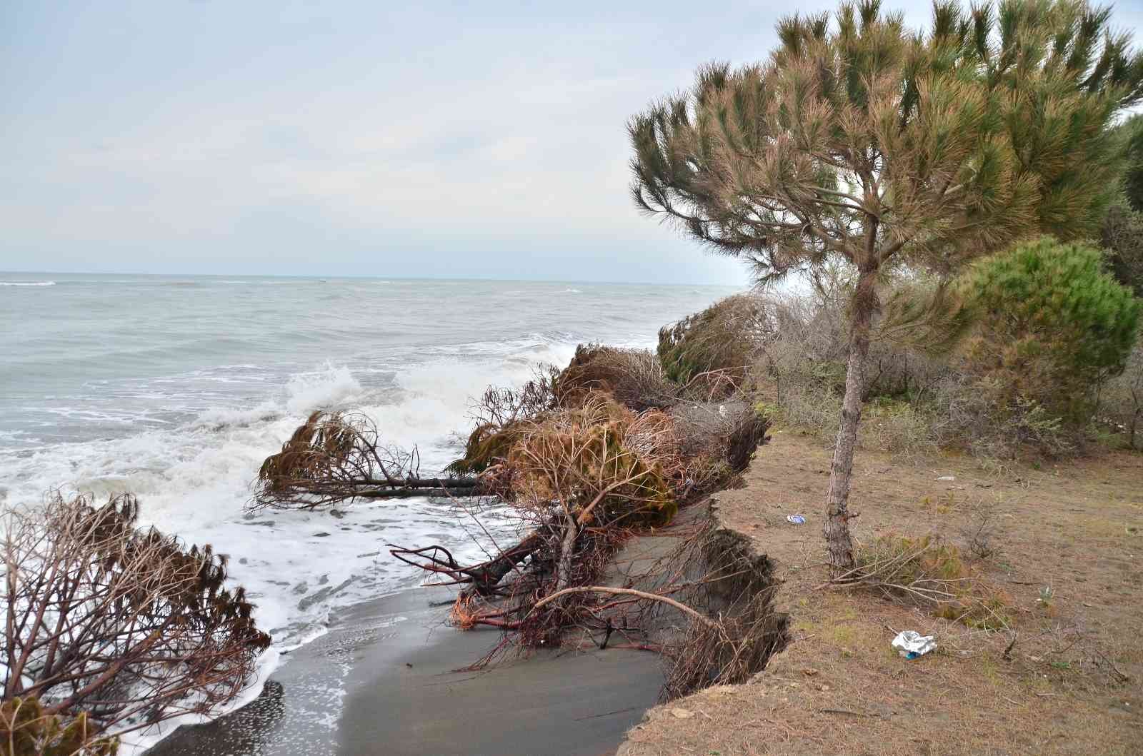 Hırçın dalgalar 150 metre kumsalı yuttu, evler tehdit altında
