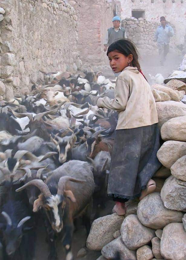 120 yıl yaşıyorlar! Bilim adamları bu Türkleri inceliyor 