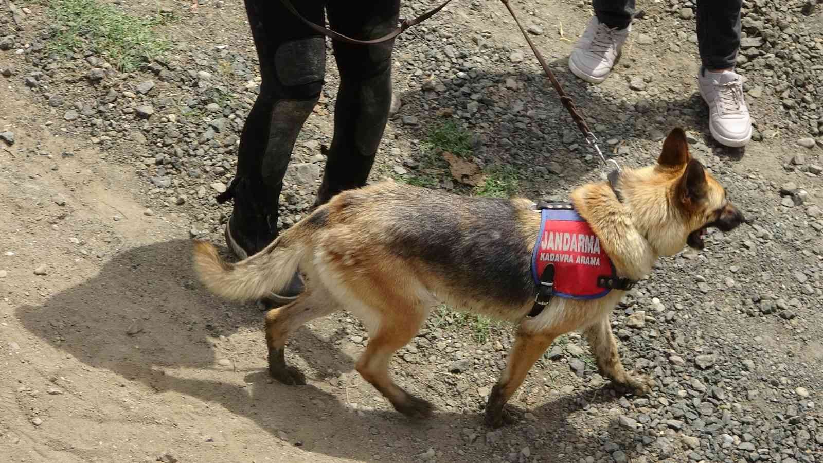 Kaybolan 10 yaşındaki Emine'den acı haber
