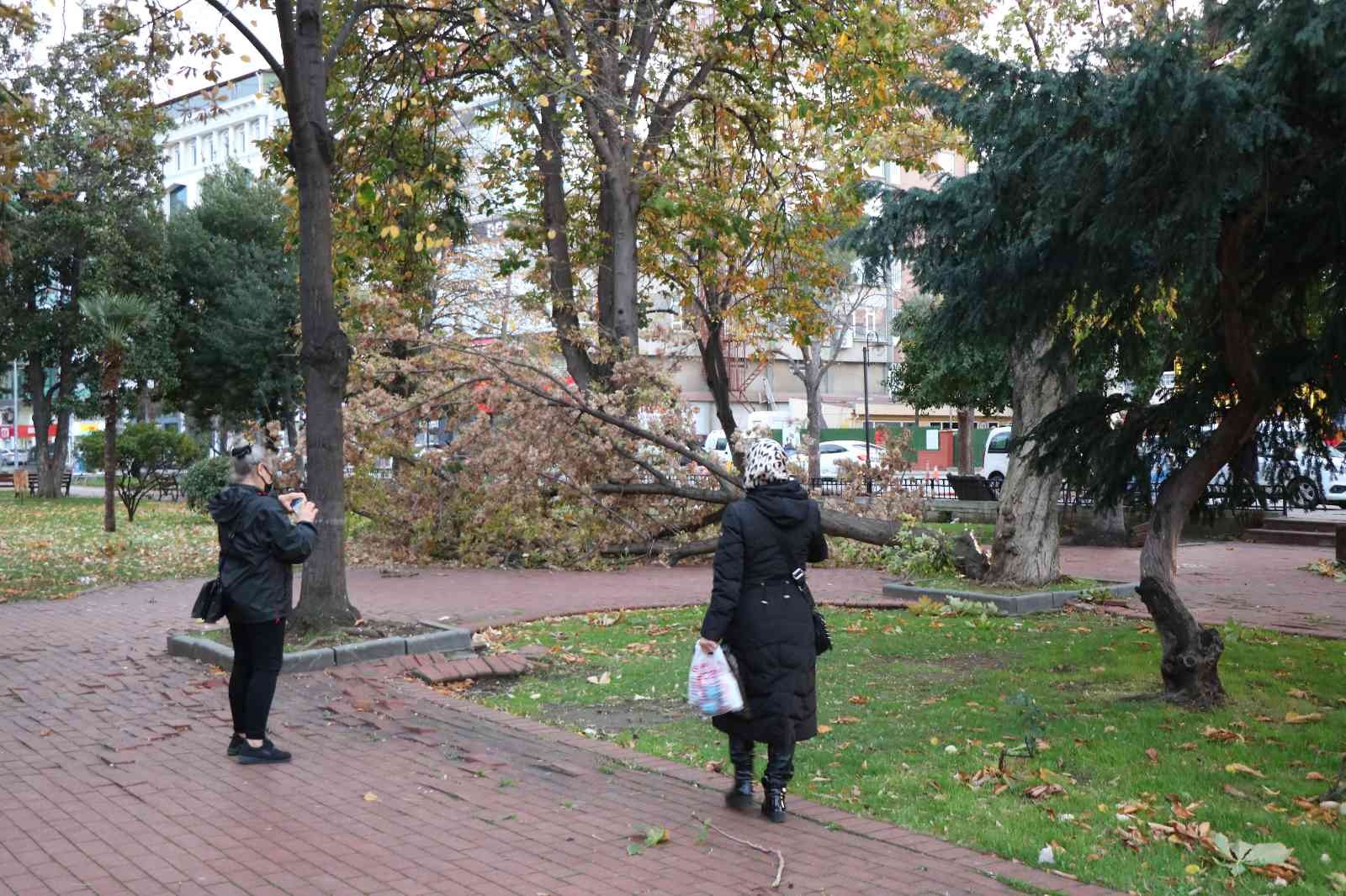 Samsun'da şiddetli fırtına: Çatılar uçtu, ağaçlar devrildi
