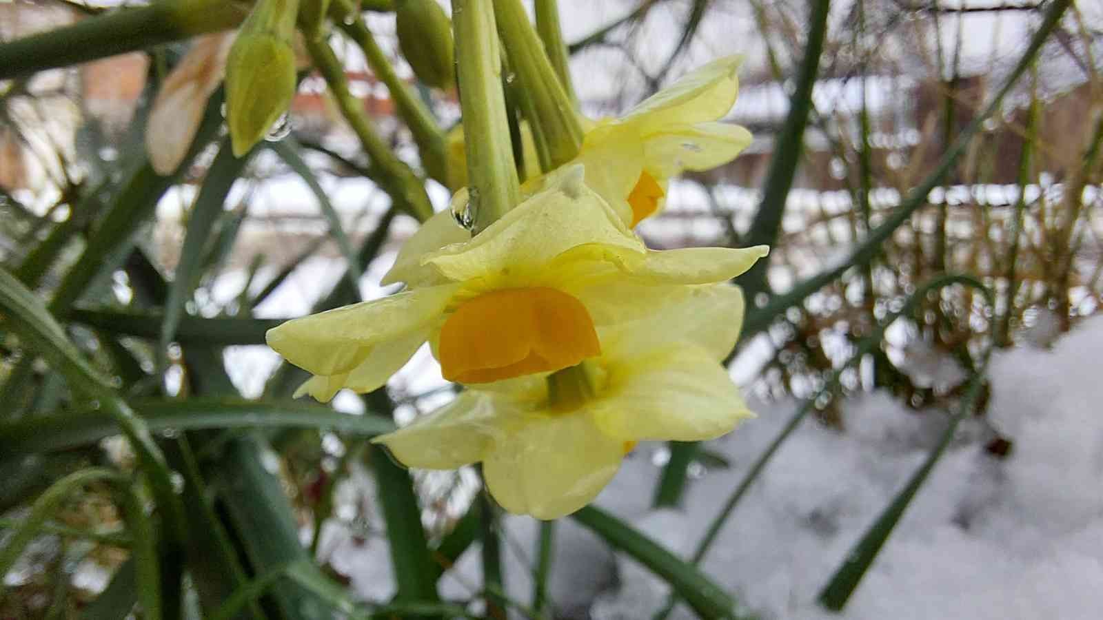 Samsun'da yağan kar kartpostallık görüntüler oluşturdu
