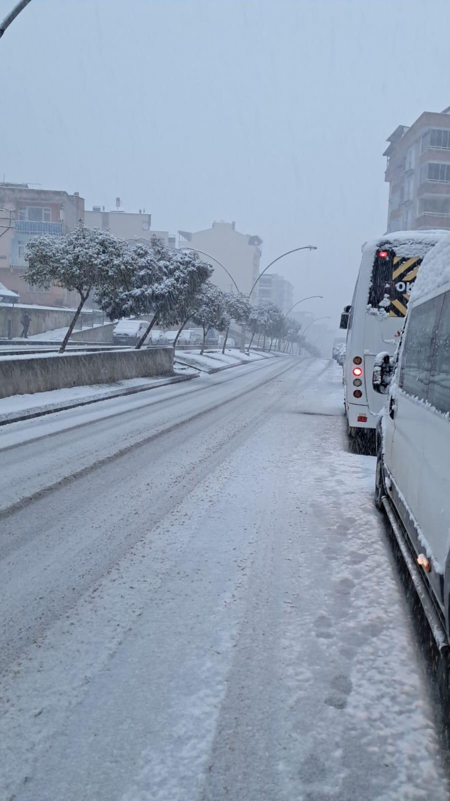 Samsun'da hayat dondu!