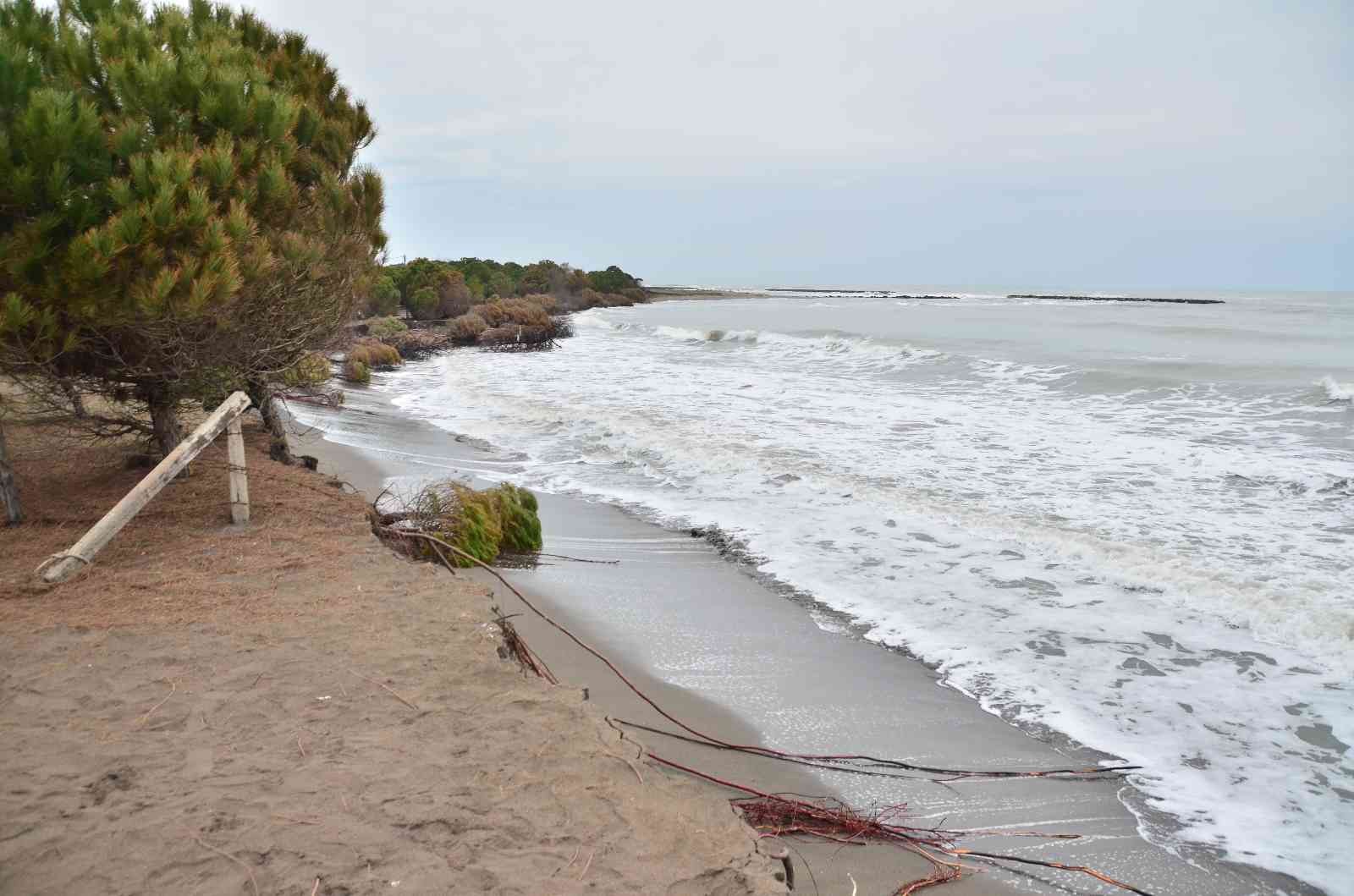 Hırçın dalgalar 150 metre kumsalı yuttu, evler tehdit altında
