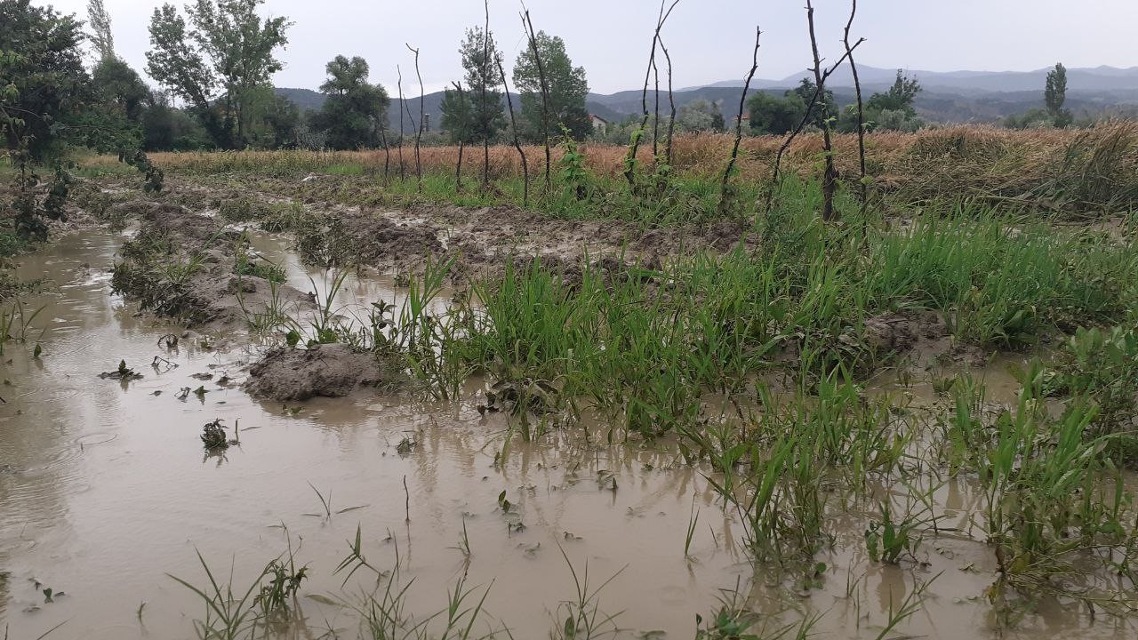 Osmancık'ta dere yatağı taştı, 5 ev tedbir amaçlı boşaltıldı
