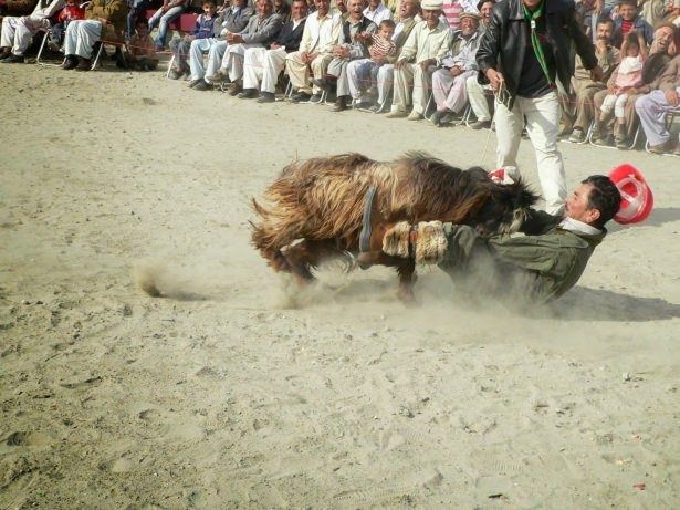 120 yıl yaşıyorlar! Bilim adamları bu Türkleri inceliyor 