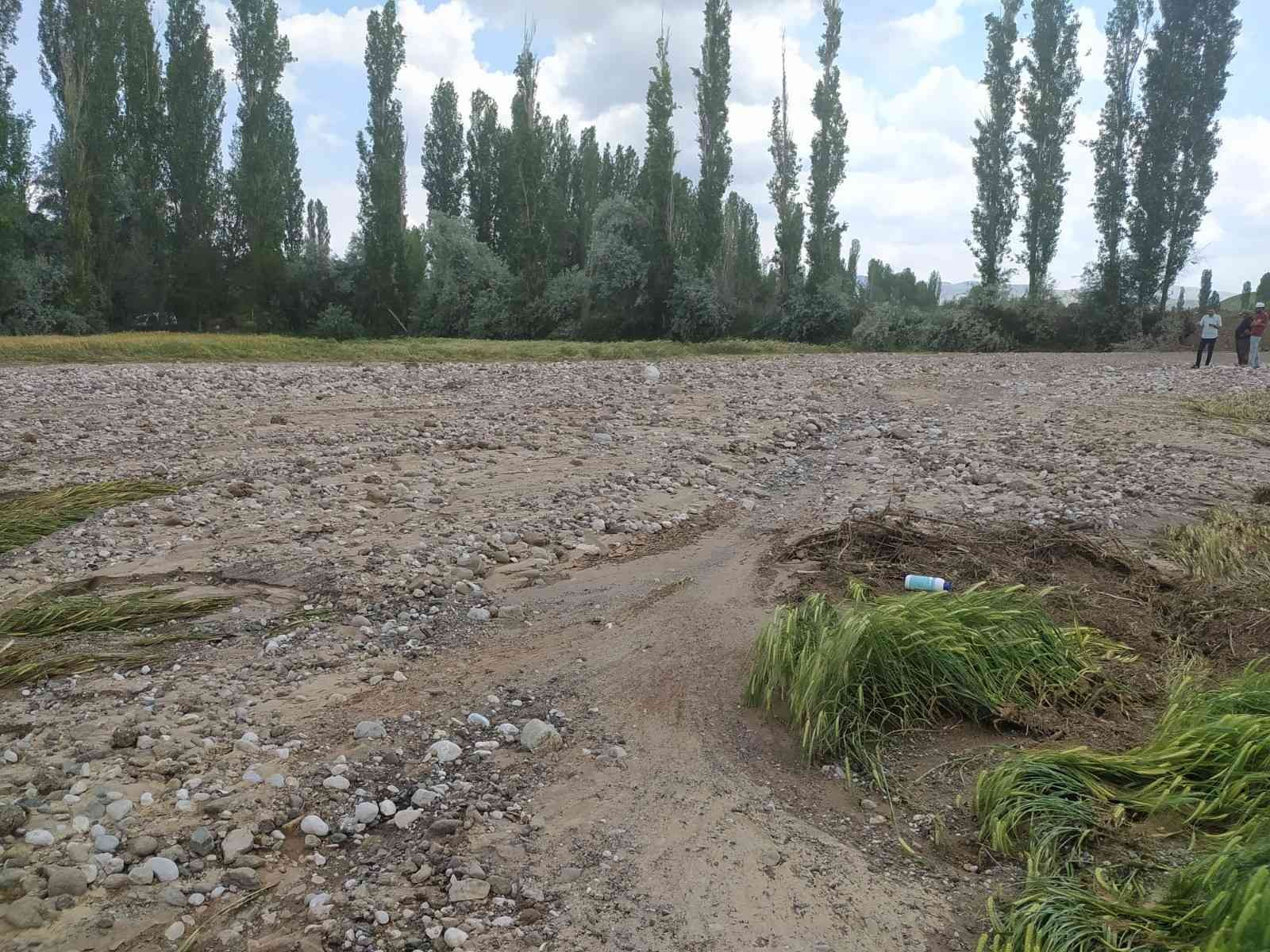 Sağanak yağış ve dolu ekili tarlaları vurdu
