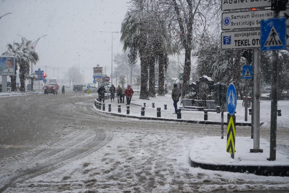 Samsun'da hayat dondu!