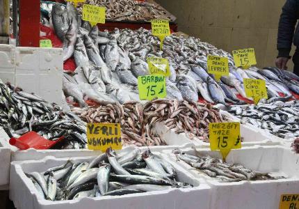 Balık tezgahlarında enflasyon yok: 3 balık çeşidi 15 lira
