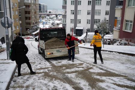 Samsun'da hayat dondu!