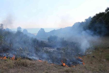 Samsun'da örtü yangını: 3 dönüm alan zarar gördü
